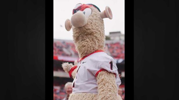 Braves mascot rips off shirt to show UGA jersey underneath