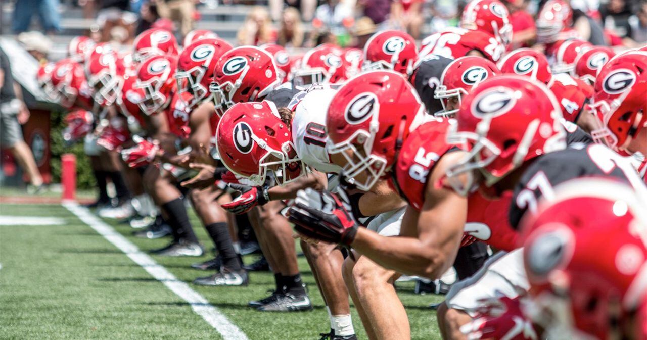 Georgia-spring questions-replacing starters-fan concerns