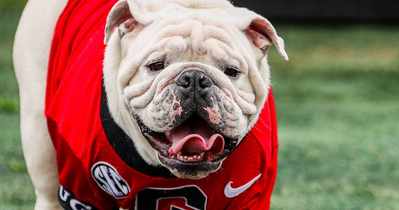 A look at Uga X's historic career as mascot of the Georgia Bulldogs