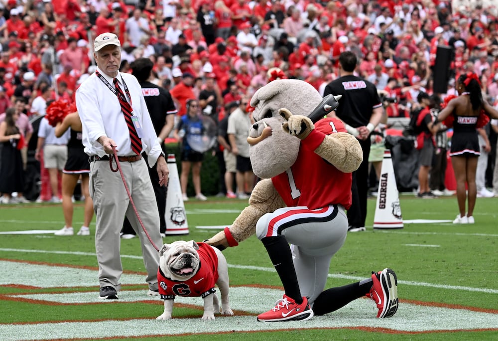 Hairy Dawg pets Uga XI, known as Boom, as Charles Seiler escorts the bulldog around the field during the first half of Saturday's game. (Hyosub Shin/AJC)